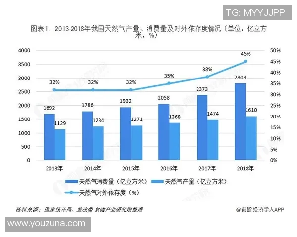 深度分析：液化天然气行业的运营策略与发展趋势探讨